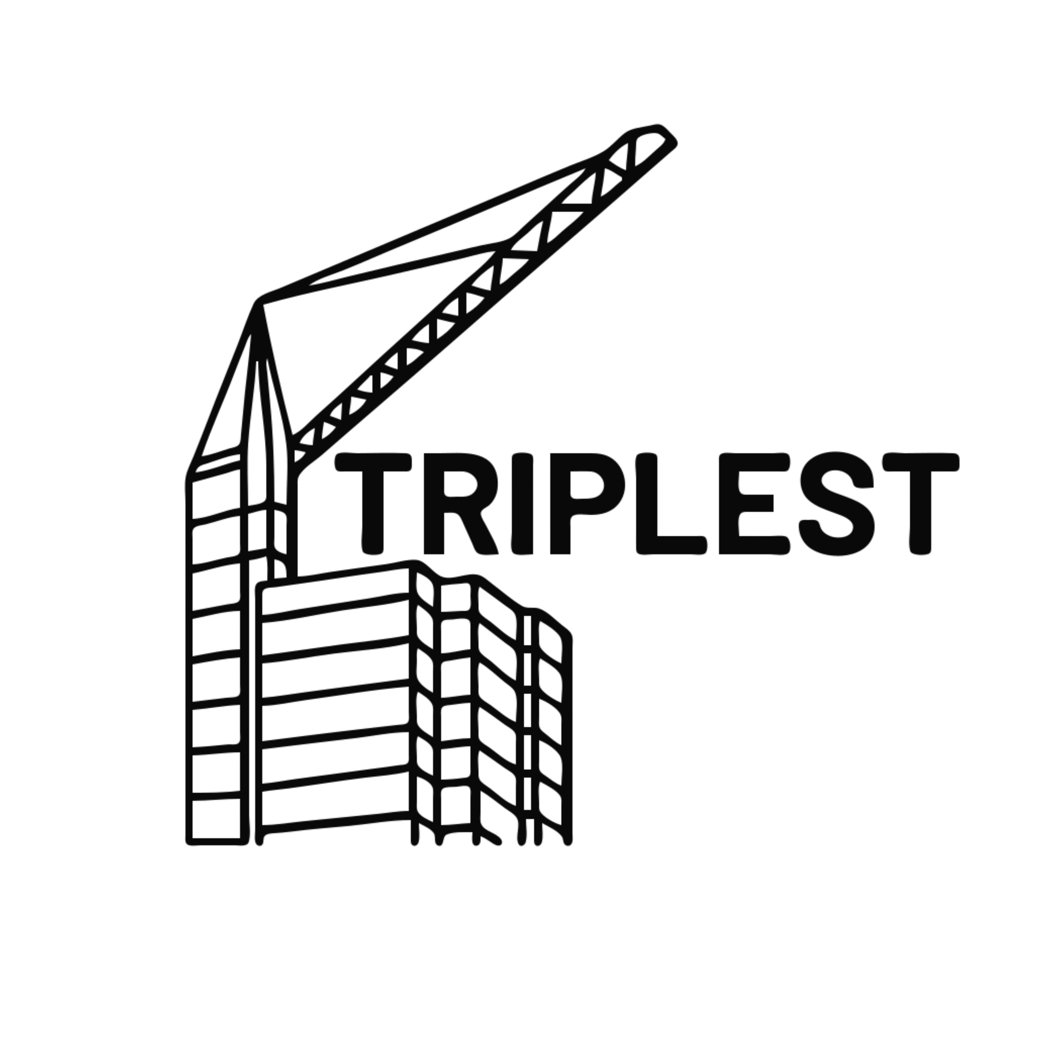 Triplest logo