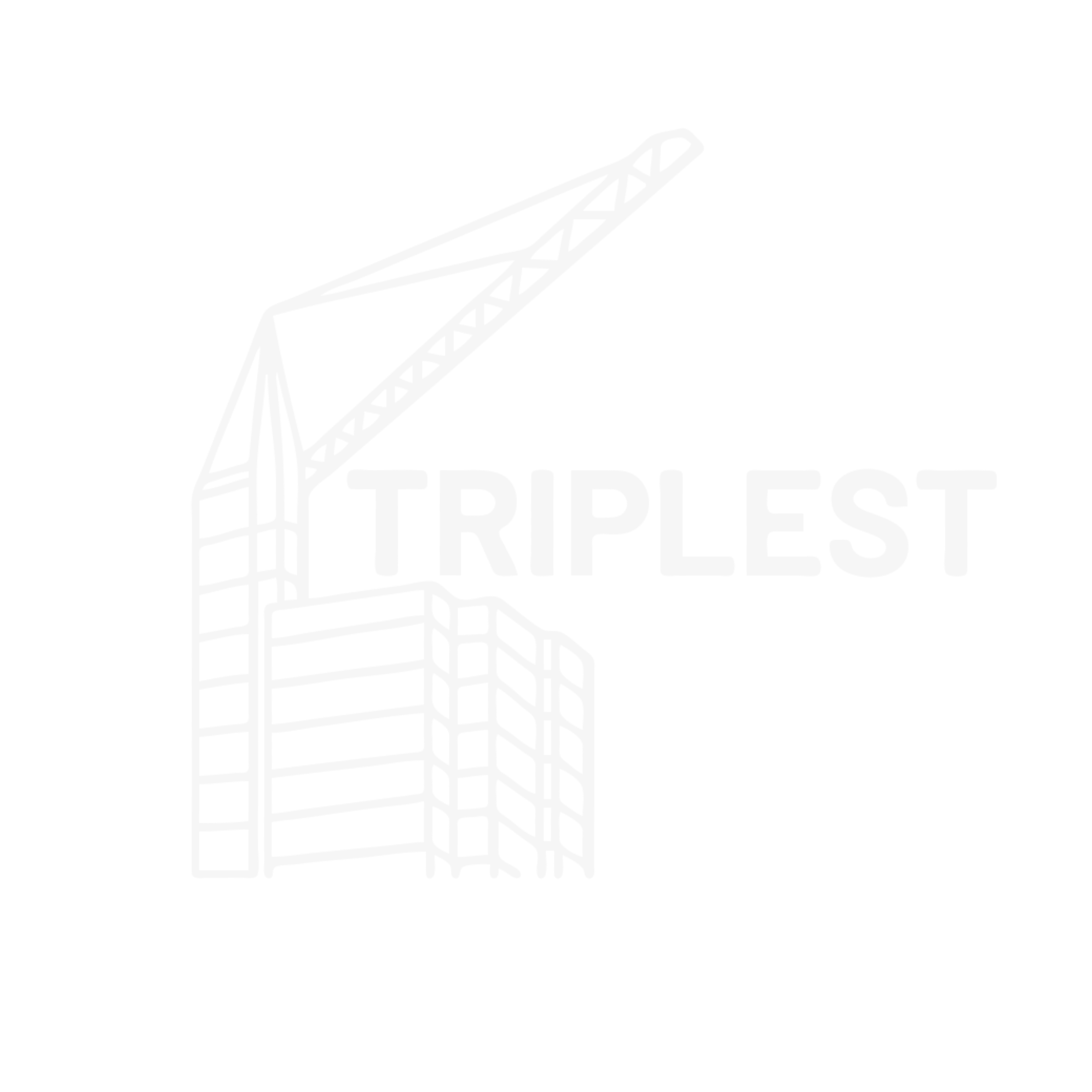 Triplest logo